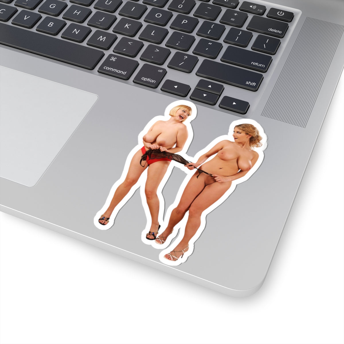 Sexy Big Bust Women Stickers Curvy Girl Vinyl Decal