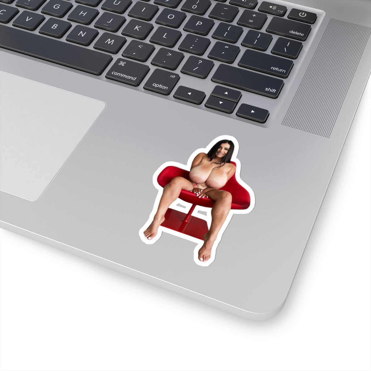 sexy girl,naked girls,naked women,nude stickers,hot girl,naked women sticker,naked pinup,uncensored stickers,E523