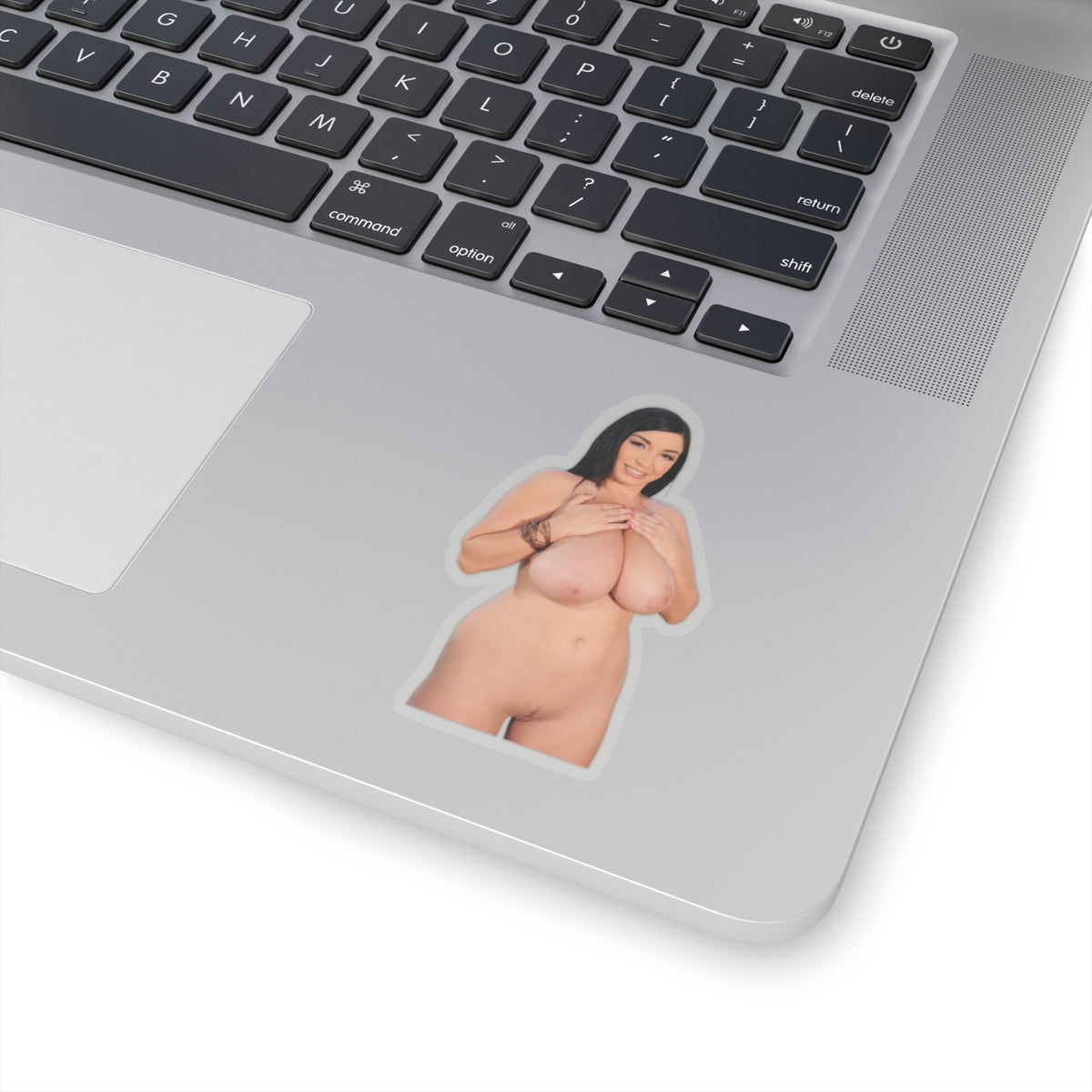 Big Boobs Tits Pinup Model Vinyl Sticker Adult Decals Uncensored Stickers