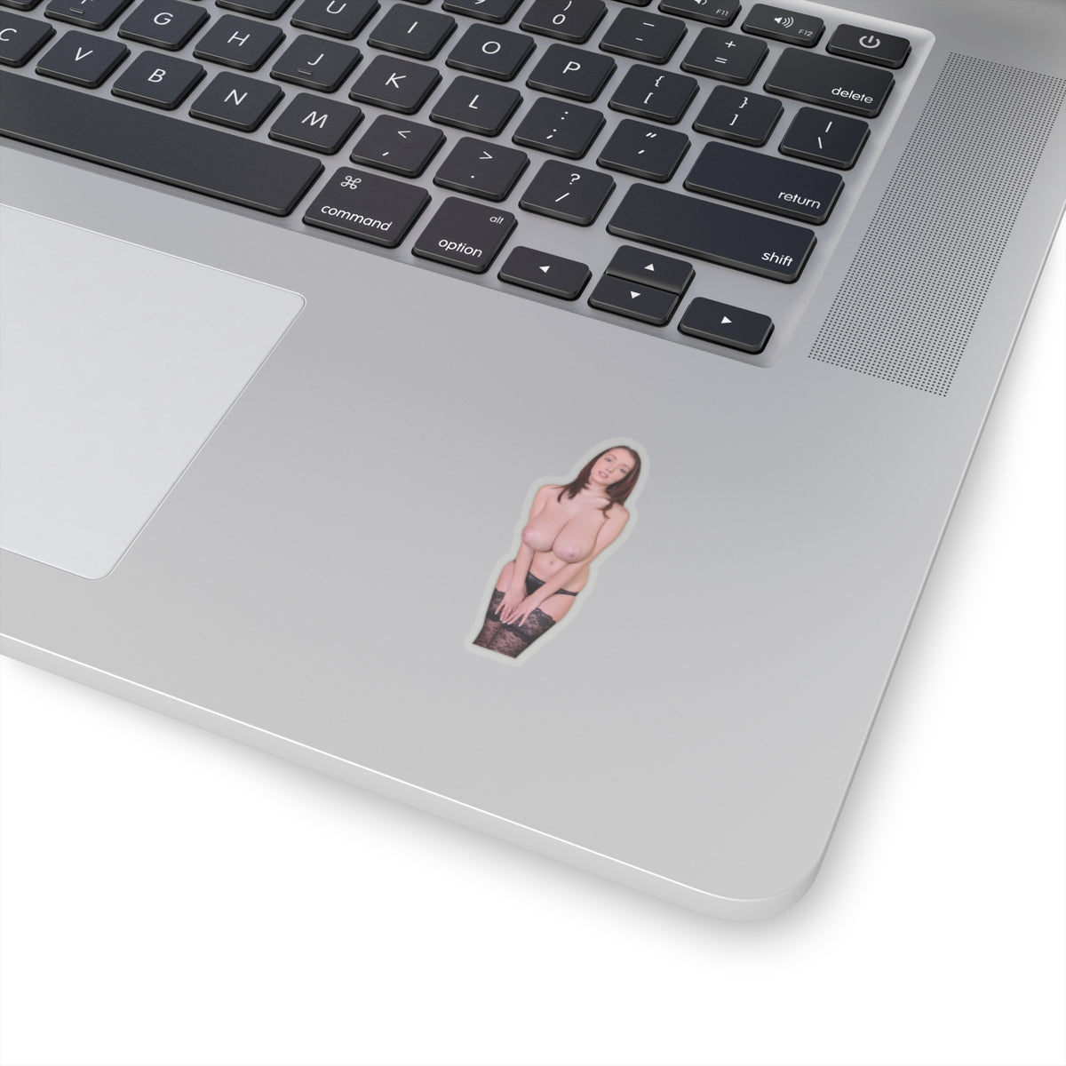 Busty Buffy Big Tits Model Sticker Pinup Uncensored Stickers