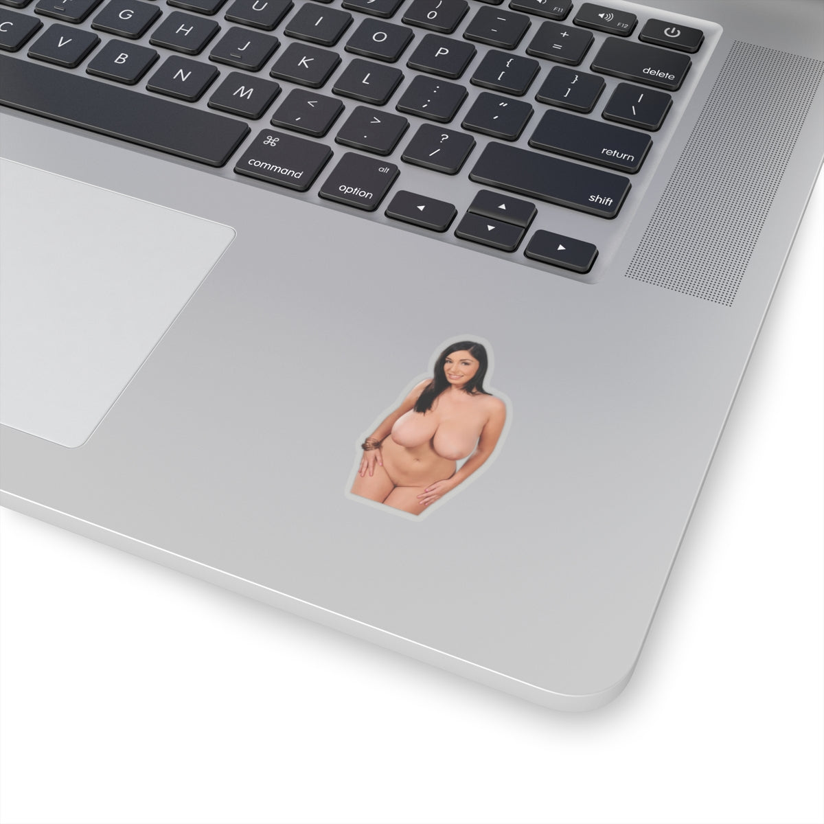 Boobs Woman Vinyl Decal Pinup Girl Adult Sticker Design