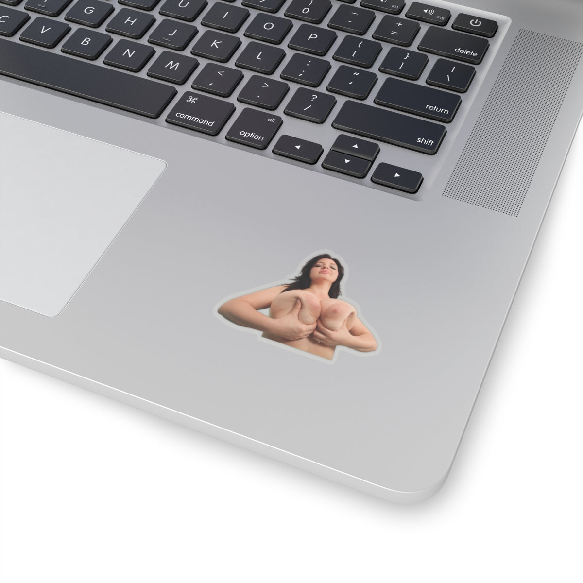 Tits Girl Sticker