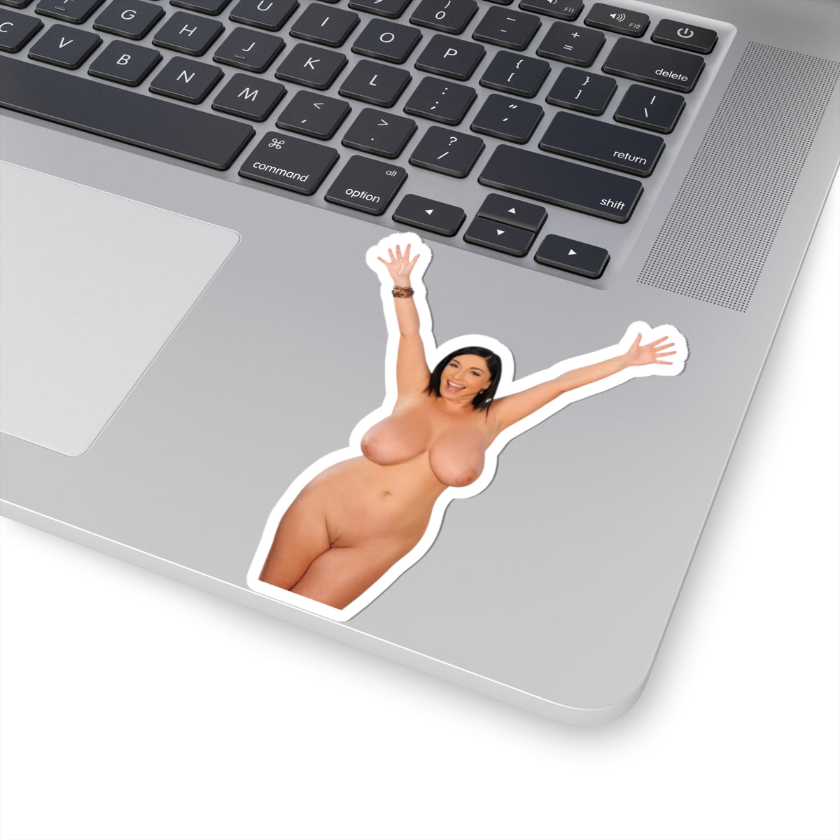 Voluptuous Pinup Woman Sticker Vinyl Decal Adult Art Design