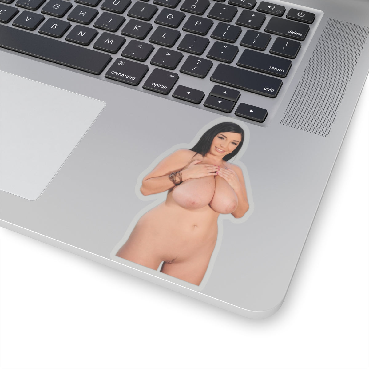 Big Boobs Tits Pinup Model Vinyl Sticker Adult Decals Uncensored Stickers