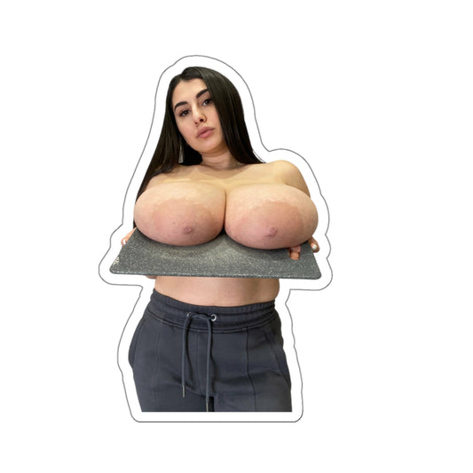 Beautiful Big Tits Model Hot Girl Adult Mature Stickers E387