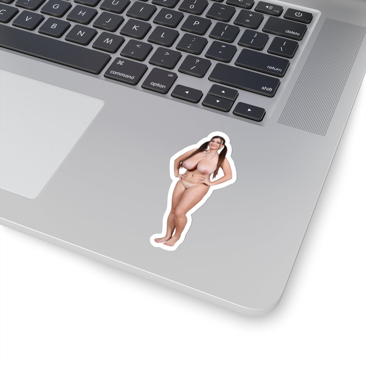 Pinup Stickers,Naked Model,naked women sticker,adult stickers,naked girl stickers,naked girl sticker,nude women,E443