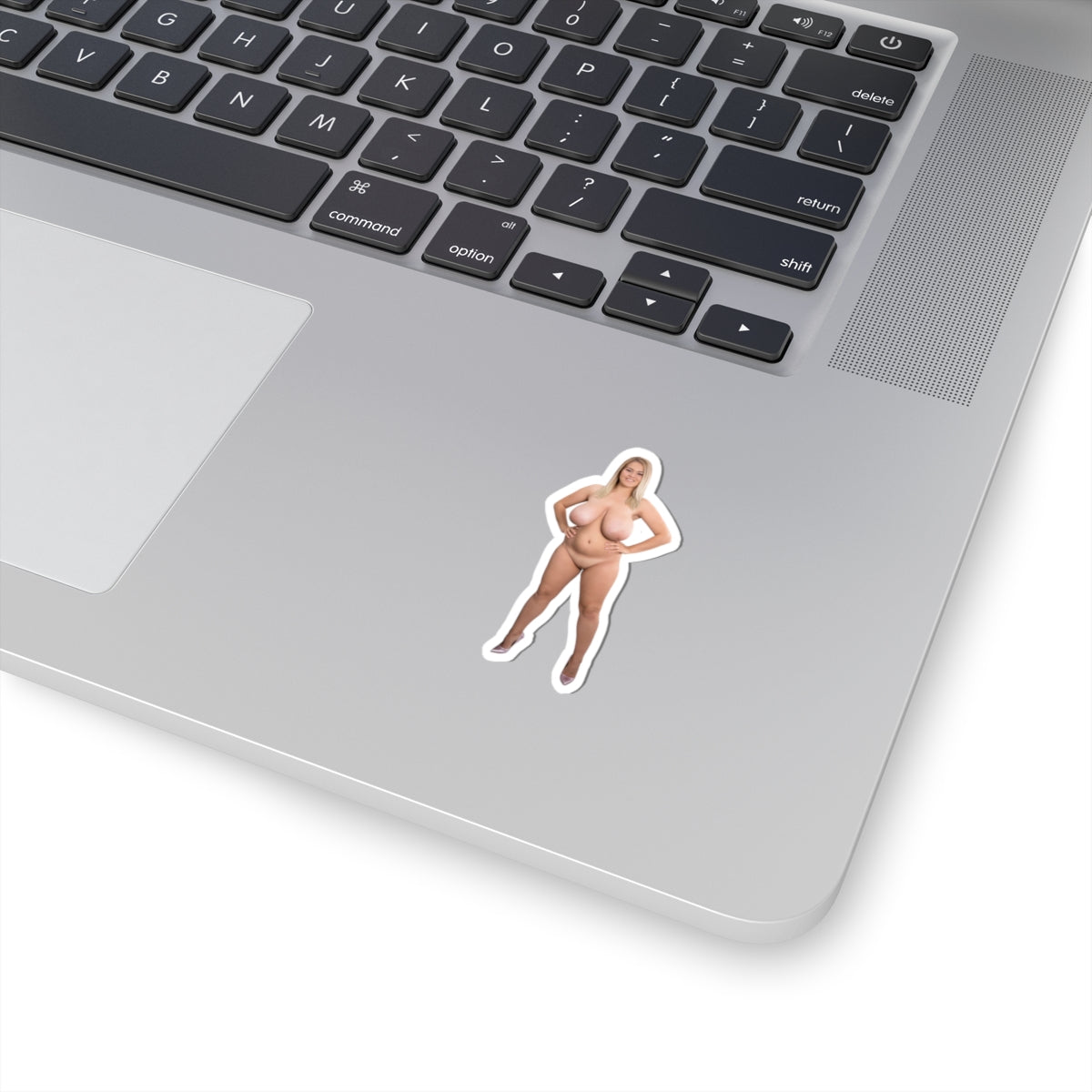 Naked Girl Sticker,Pinup Stickers,Nude,Unclothed,Bare,Exposed,Stripped,Undressed,Au naturel,Without clothes,E493