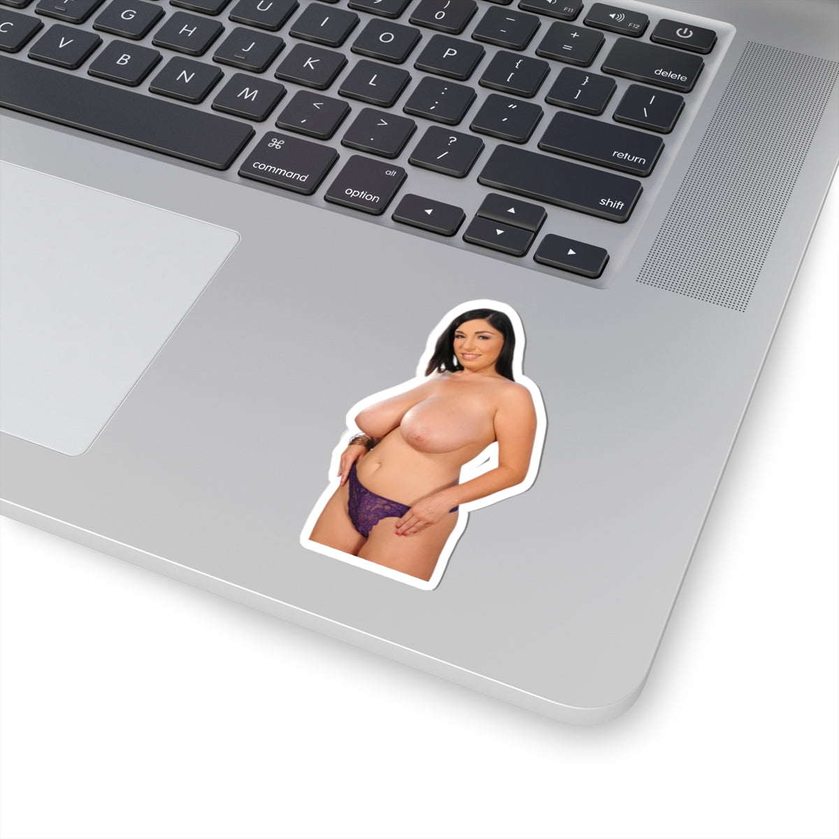 Curvy Pinup Model Sticker Vinyl Decal Sexy Woman Artwork