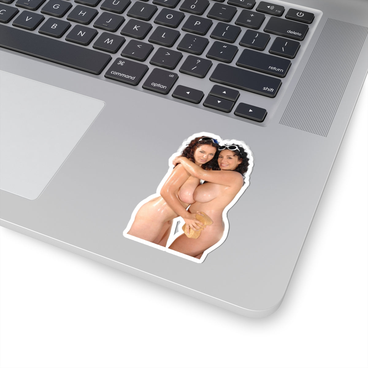 Sexy Girls Sticker Naked Models Stickers
