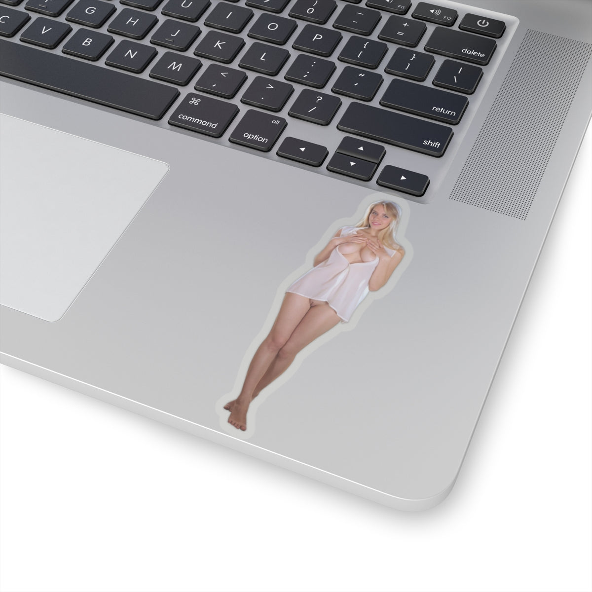 Pinup Stickers Sexy Women Uncensored Stickers