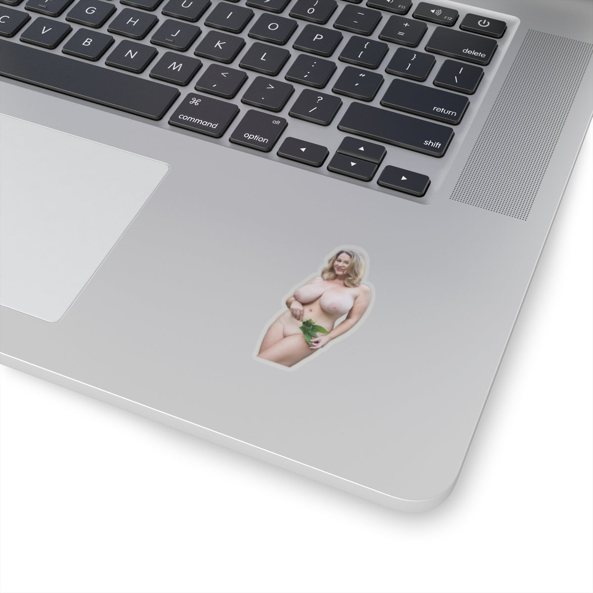 Big Tits Girl Sticker Pinup Model Adult Stickers