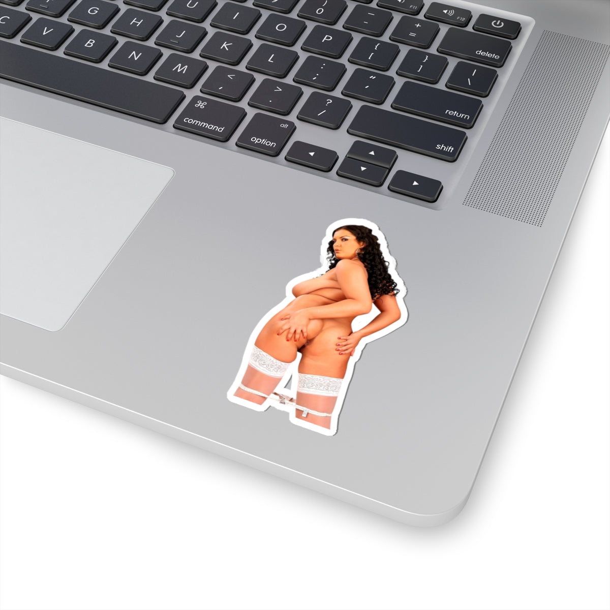 Big Tits Naked Model Sticker Pinup Uncensored Stickers