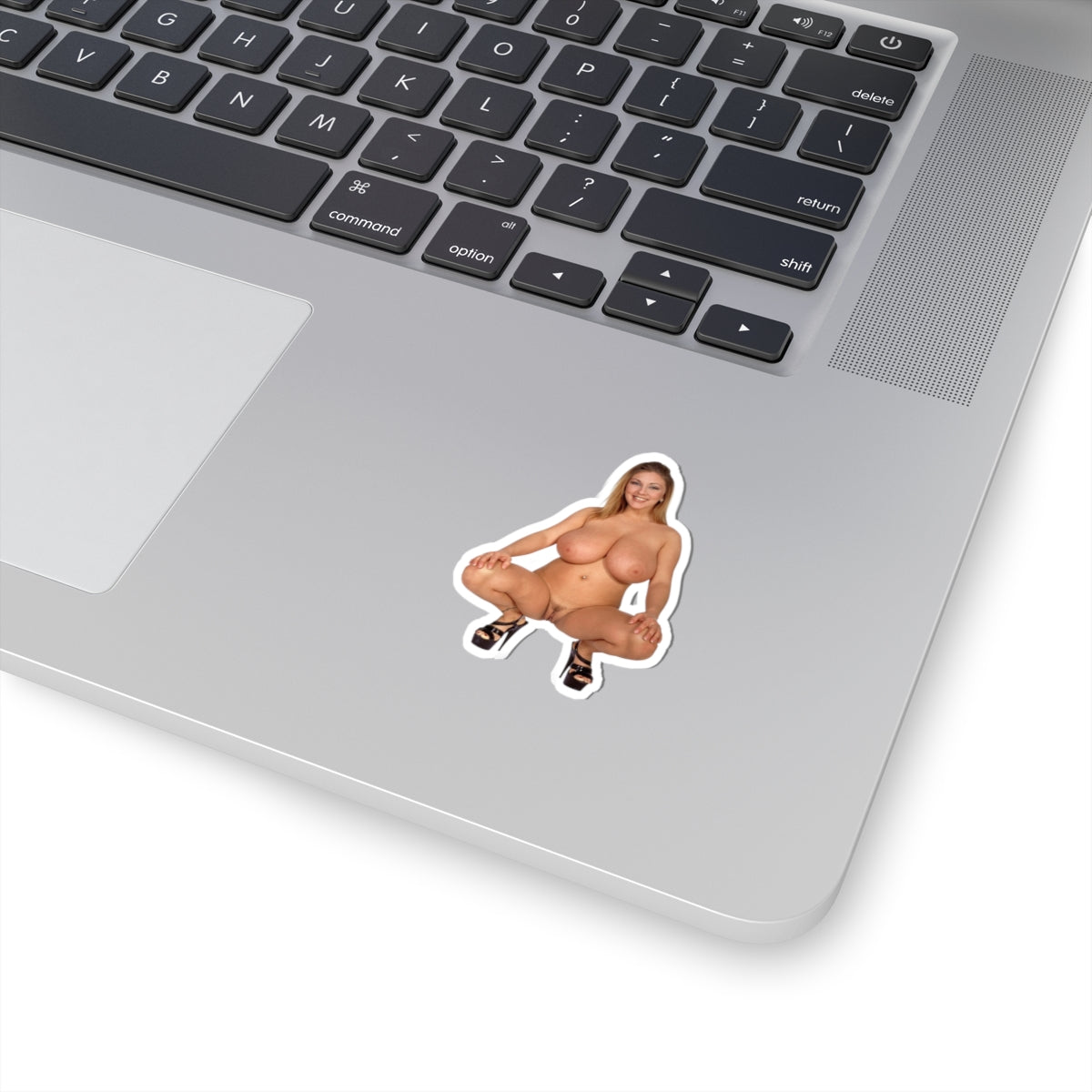 Erotic Sticker Big Boobs Pinup Girl Sticker