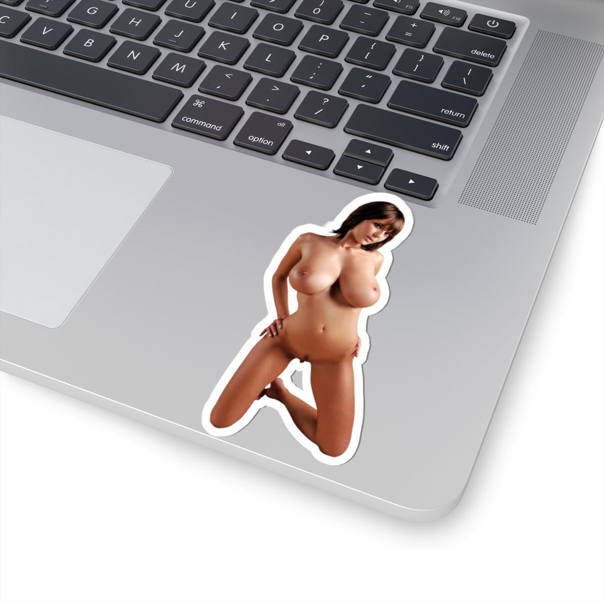 Gabrielle Sexy Girl Sticker Big Tits Adult Stickers