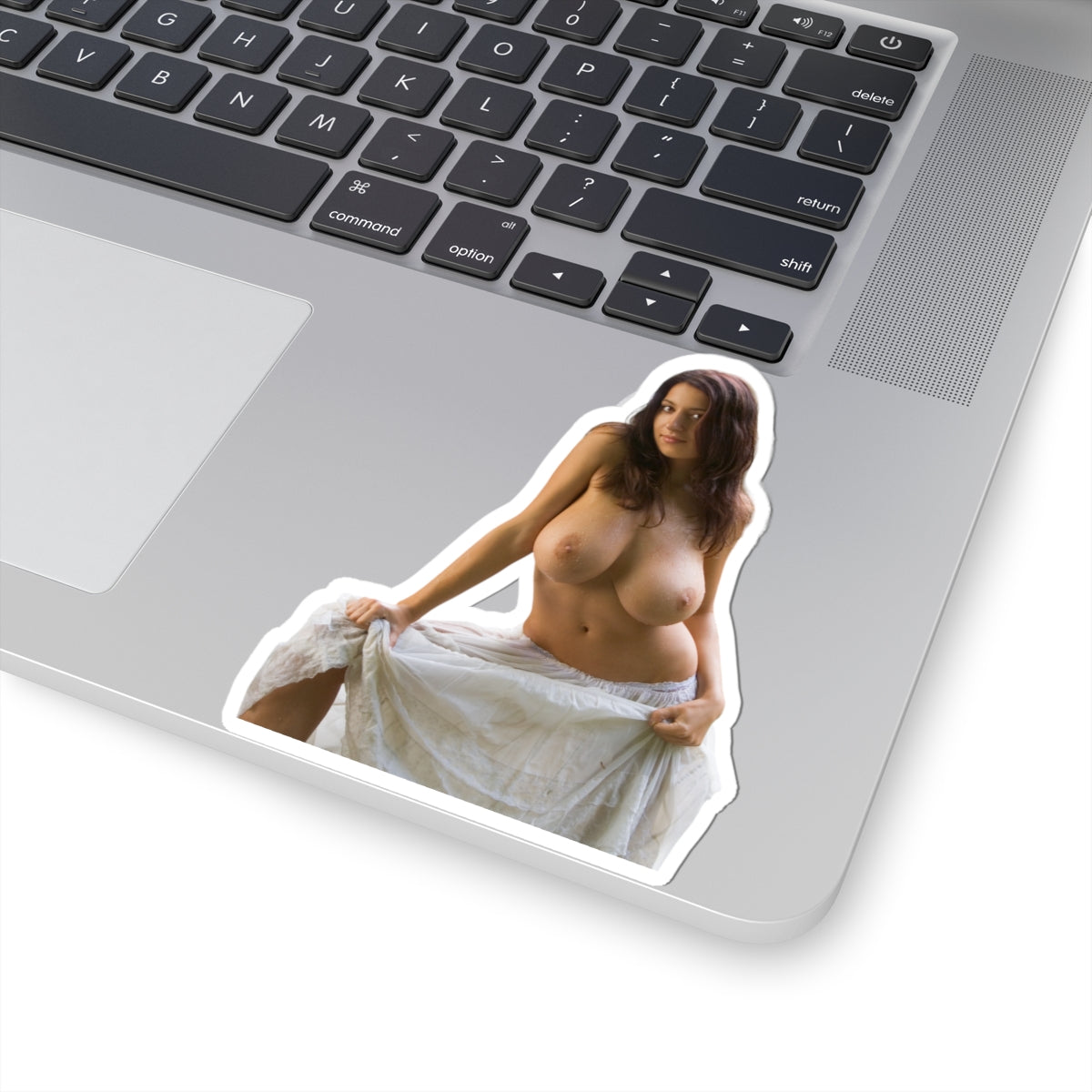 Busty Girl Sticker Pinup Model