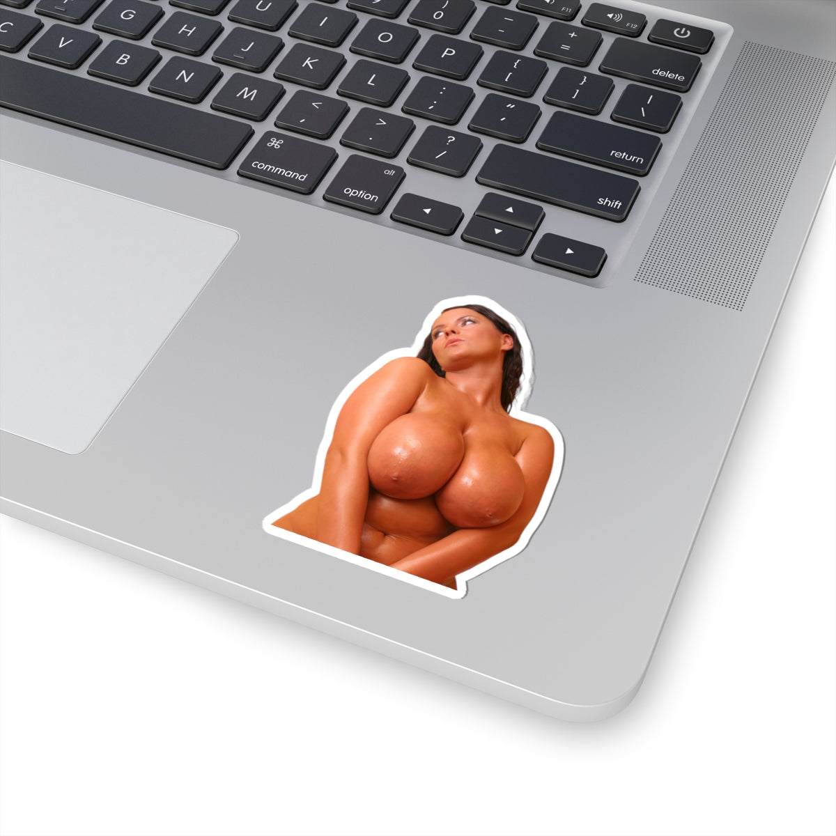 beautiful big boobs girl sticker sexy women uncensored stickers