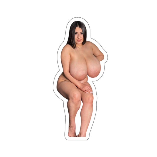 Big Breast Model Sticker Sexy Girl Naked Pinup Stickers Beautiful Women Uncensored Stickers E524