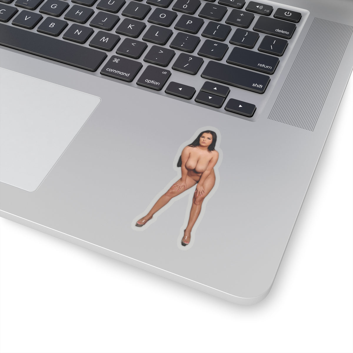 Busty Babe Stickers Sexy Women Stickers