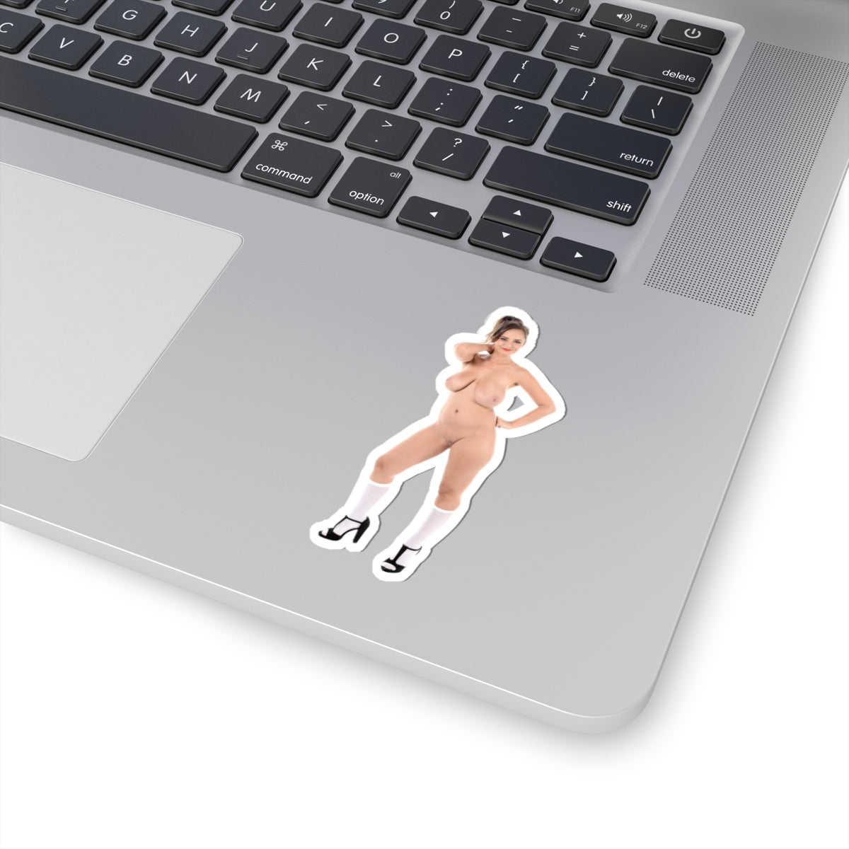 Naked Girl Stickers Pinup Stickers