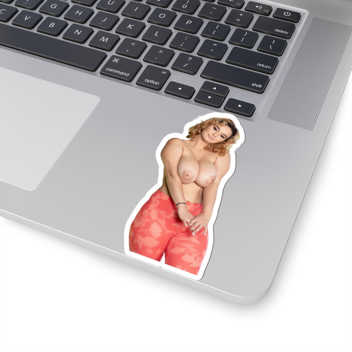 Big Boobs Girl Sticker Pinup Model Adult Stickers