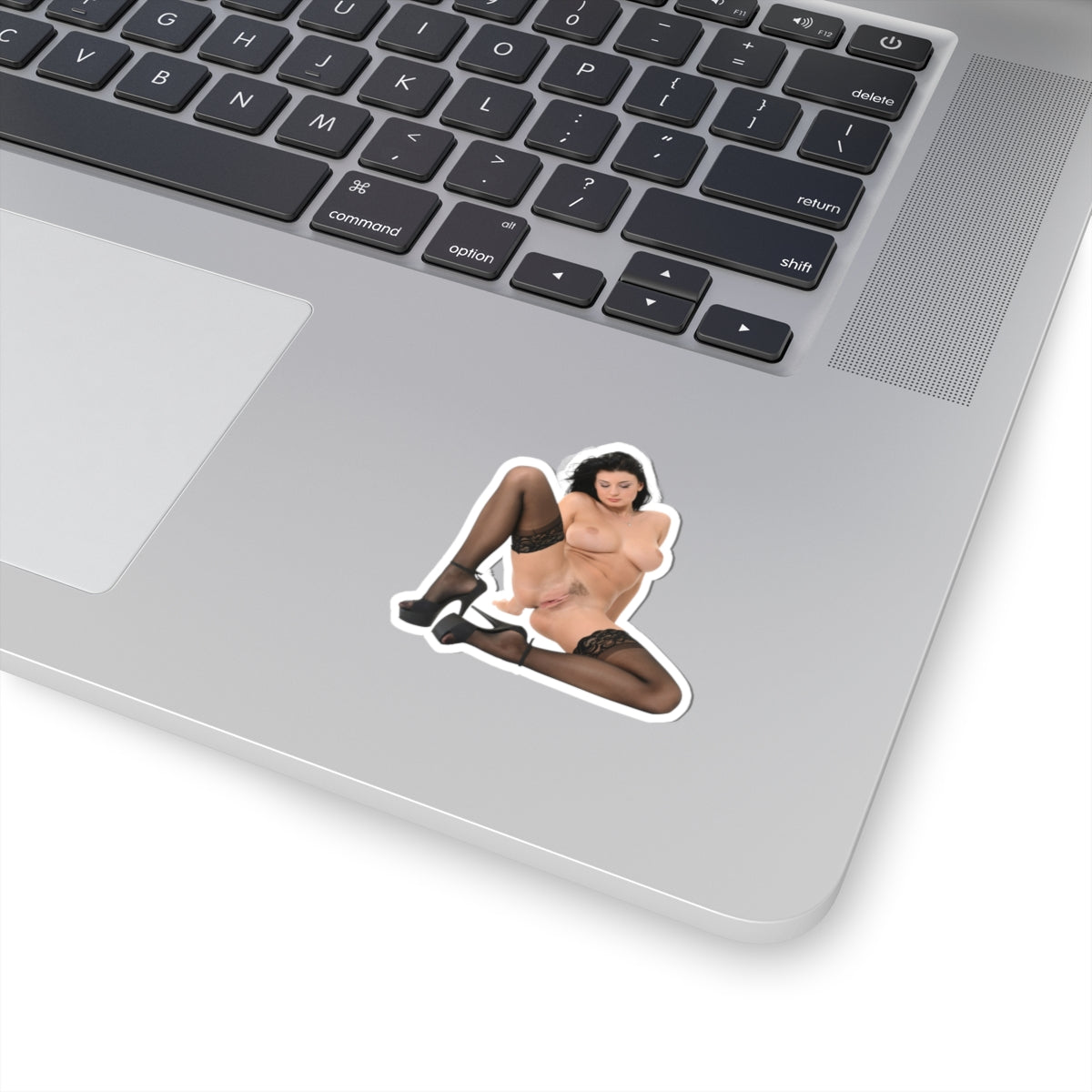 sexy brunette sticker big tits women pinup model stickers
