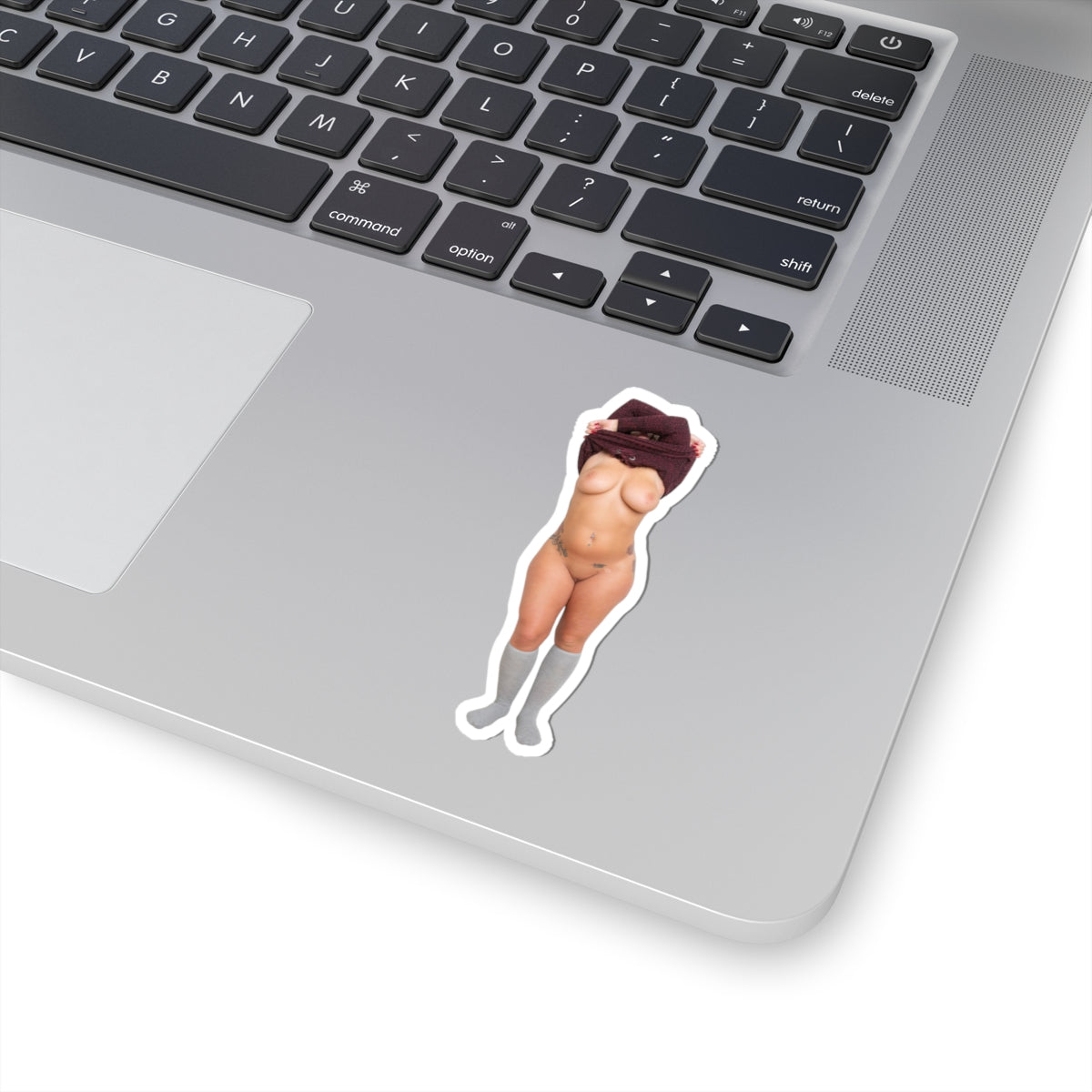 Sexy Model Sticker Naked Pinup Girls Stickers