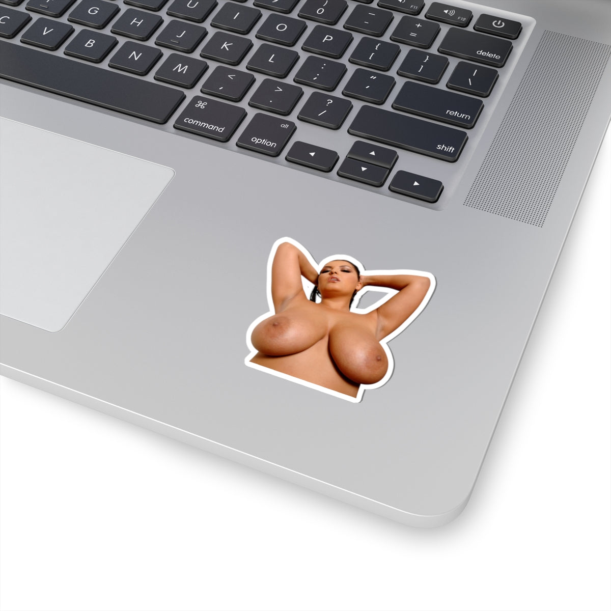 Pretty Girl Sticker Pinup Naked Big Boobs Girl Stickers