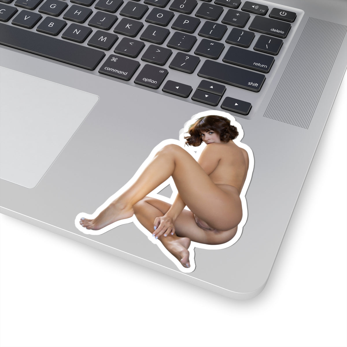 Hot Pinup Model Sticker Naked Ass Girl Stickers