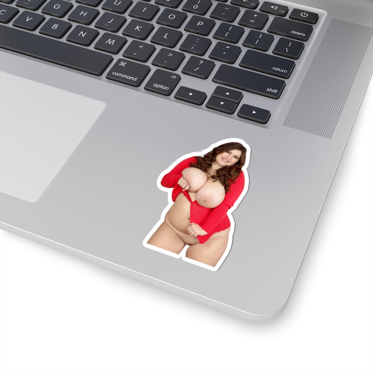 Thick Curvy Girl Big Boobs Women Sticker