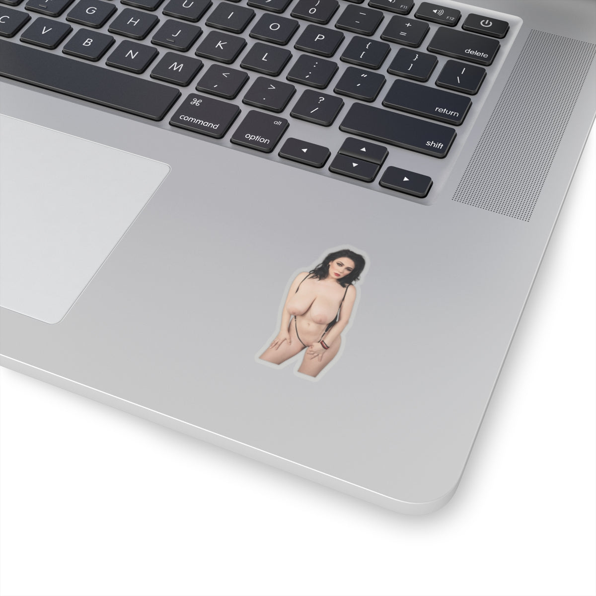 Adult Stickers Big Boobs Sexy Girl Sticker
