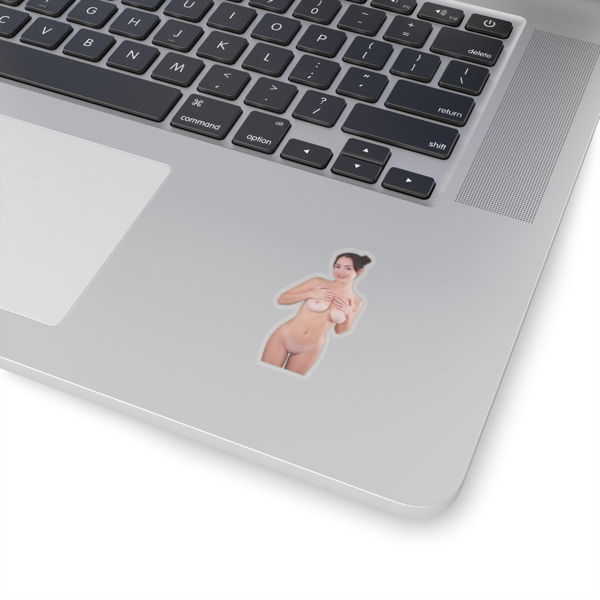 Pinup Stickers Sexy Nude Boobs Women Sticker