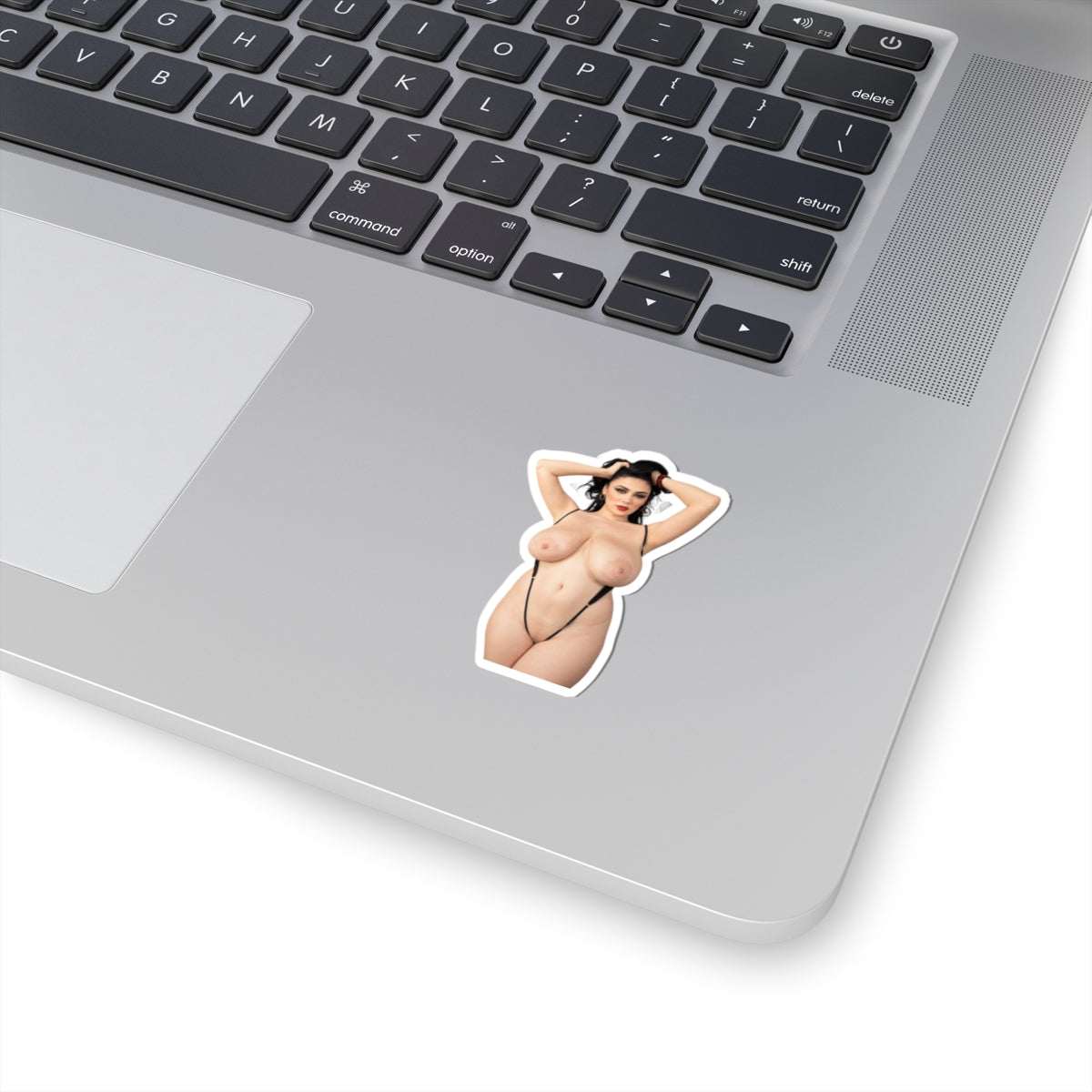Adult Stickers Big Tits Big Boobs Girl Sticker