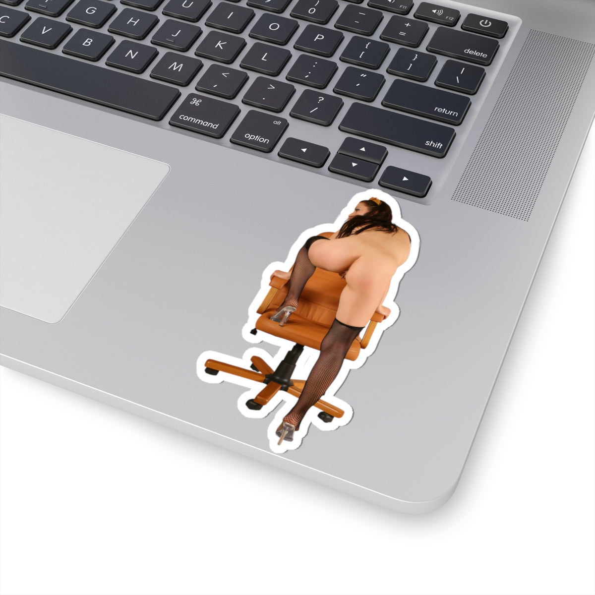 Big Boobs Pinup Sticker Adult Sexy Woman Decal Retro Girl Art