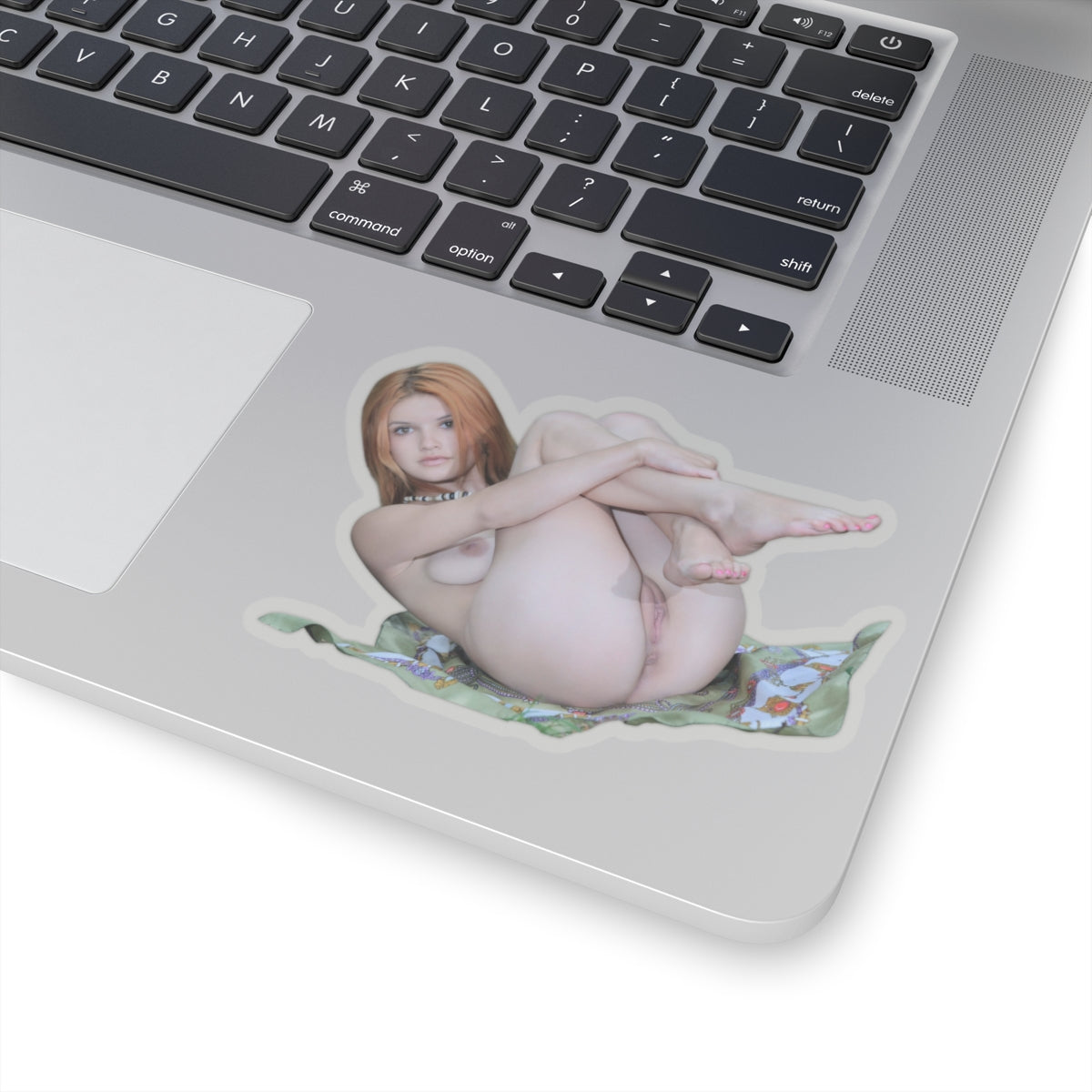 Pinup Model Sticker Hot Girl Stickers Naked Sexy Women