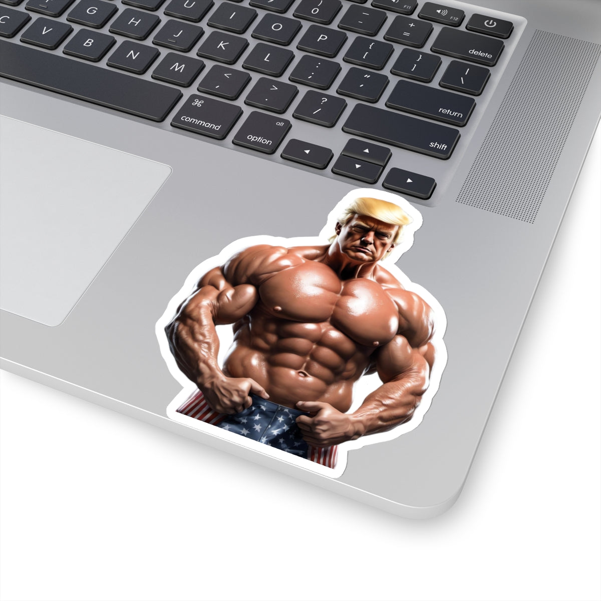 Trump,Trump Sticker,Trump Stickers,Funny Trump,Funny Trump Sticker,Funny Trump Stickers,Make America Great Again,MAGA,E978