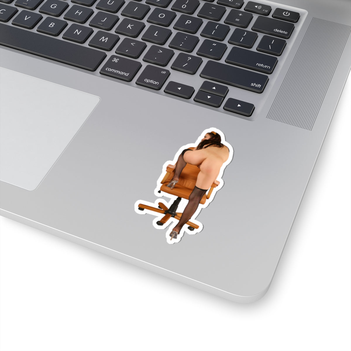 Big Boobs Pinup Sticker Adult Sexy Woman Decal Retro Girl Art