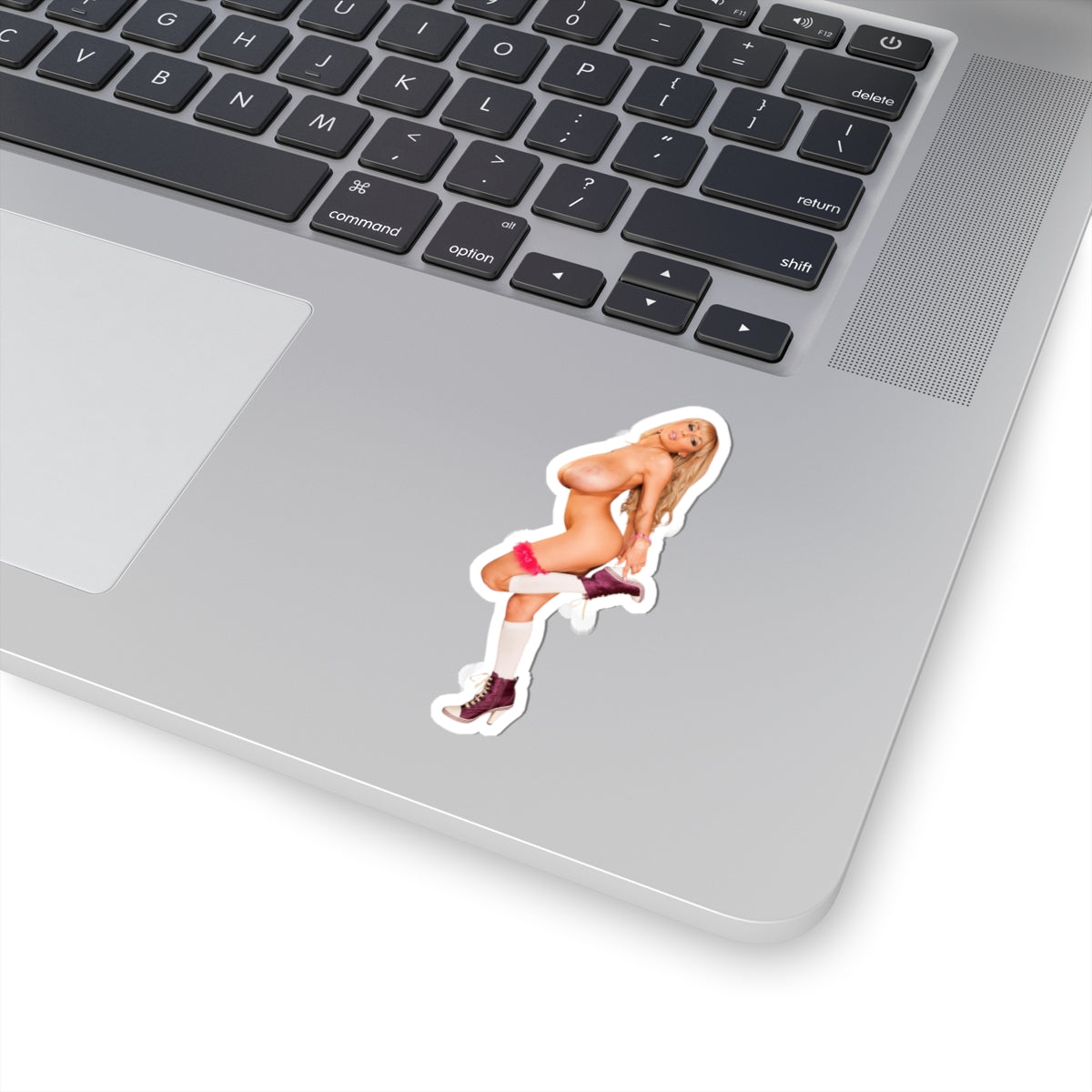 Big Tits Naked Girl Sticker Pinup Stickers