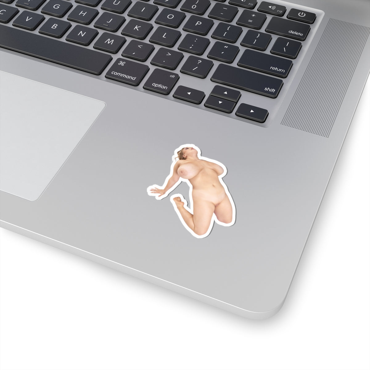 Big Tits Girl Sticker Naked Pinup Model Stickers