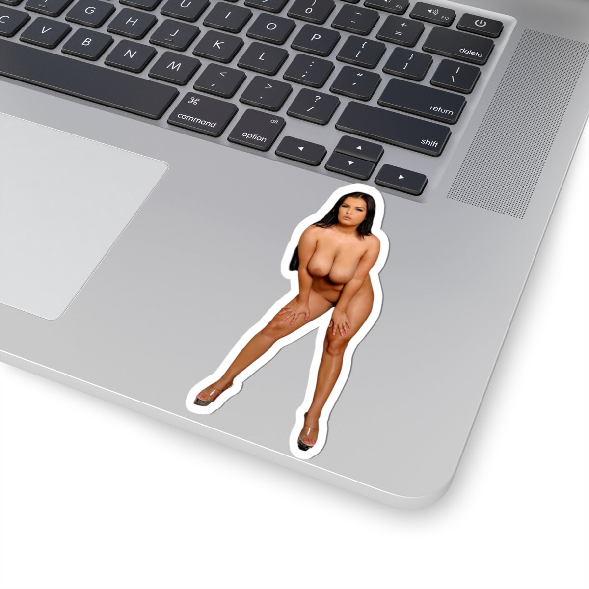 Busty Babe Stickers Sexy Women Stickers