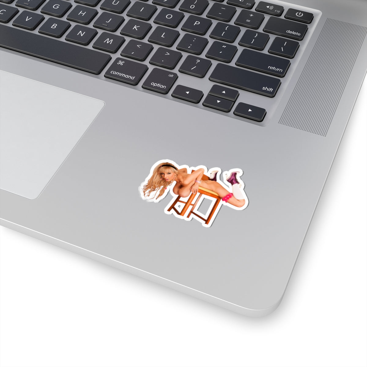 Big Tits Naked Women Sticker Pinup Stickers