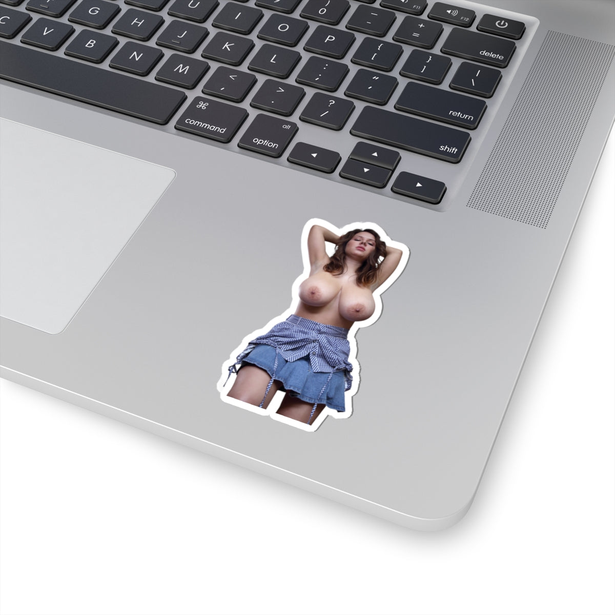 Big boob pretty girl sticker naked women stickers
