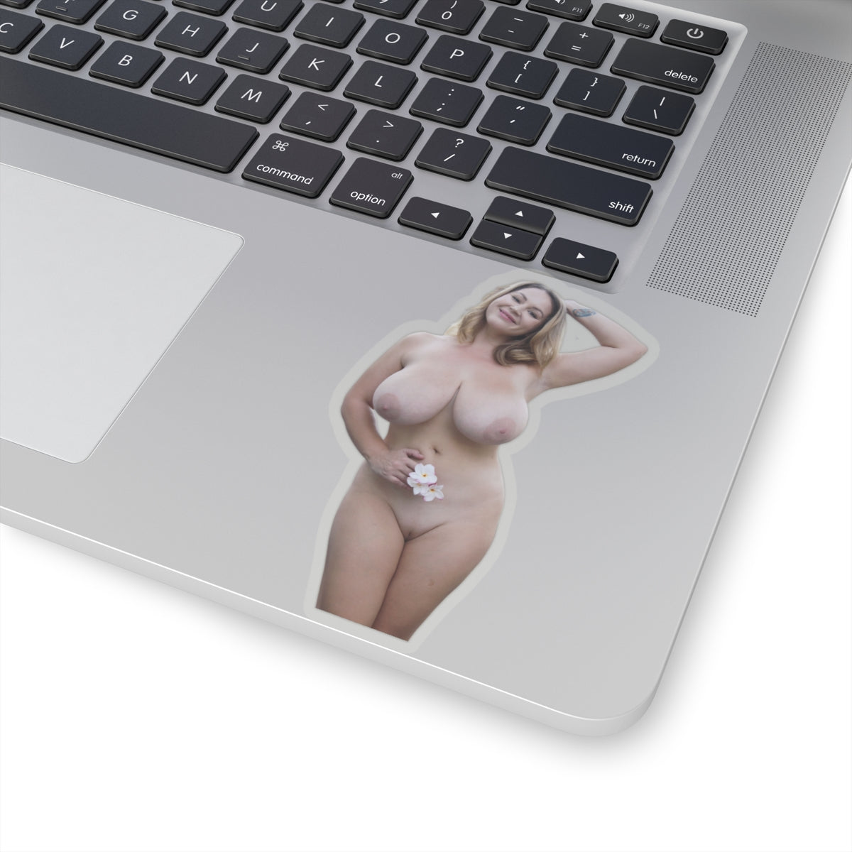 Big Tits Girl Sticker Pinup Model Stickers