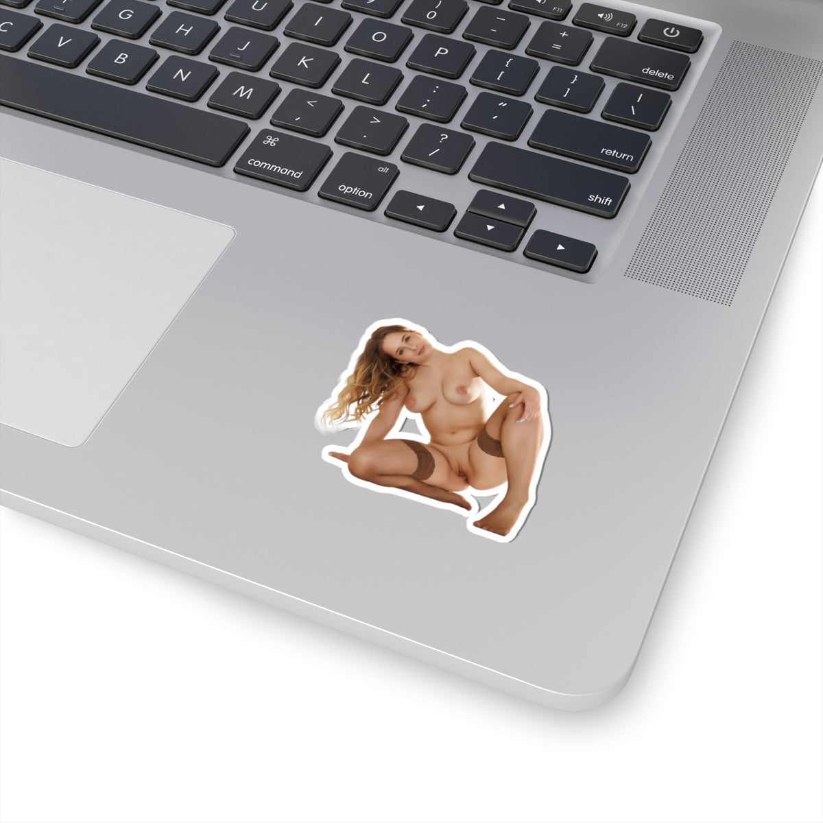 Sexy Girl Sticker Pinup Models Stickers
