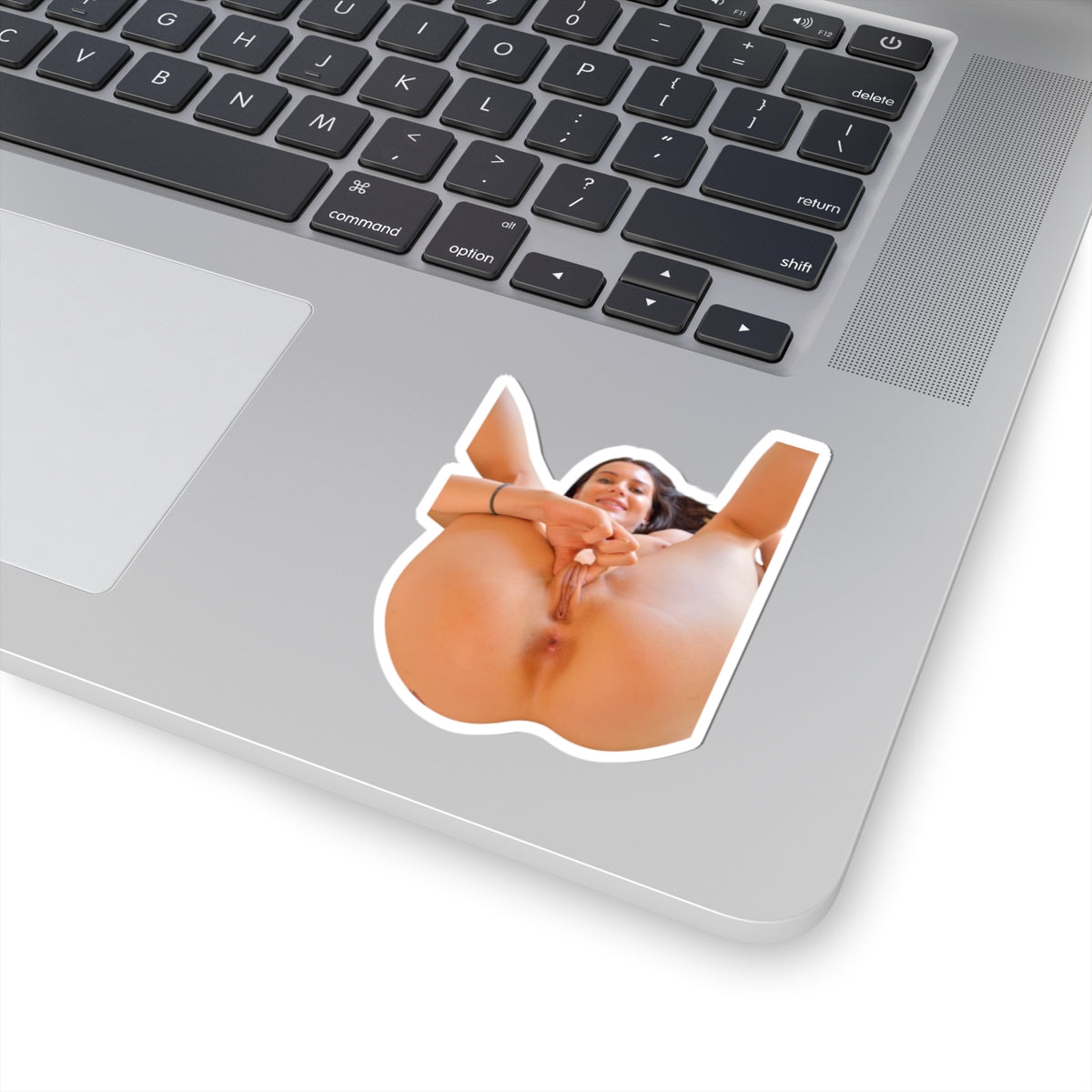 PRETTY GIRL STICKER SEXY PINUP MODEL STICKERS