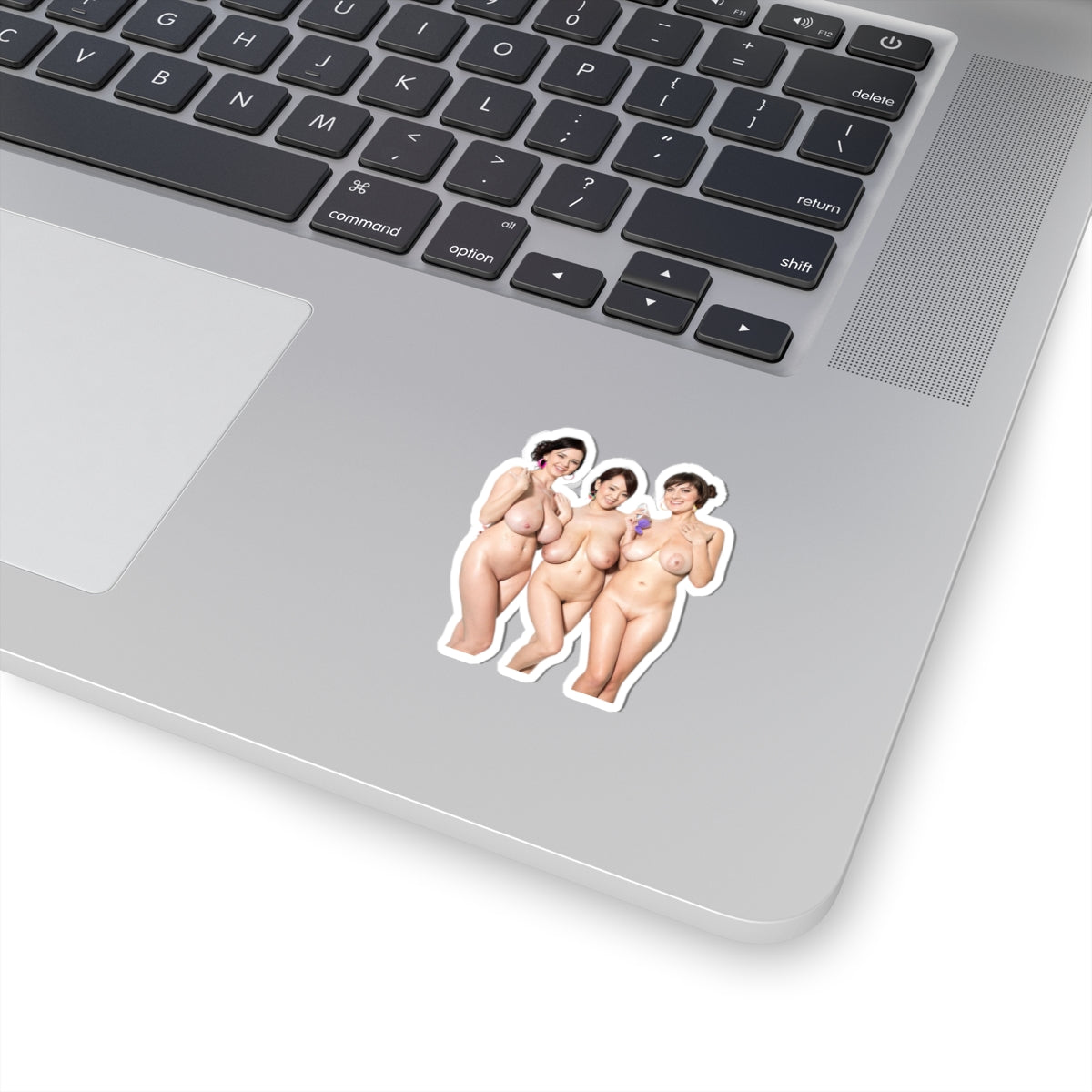 Sexy Girls Sticker Big Tits Girl Stickers