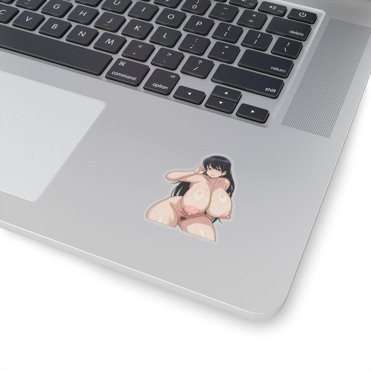 Hentai Anime Stickers Big Boobs Naked Girl animecartoonstickers