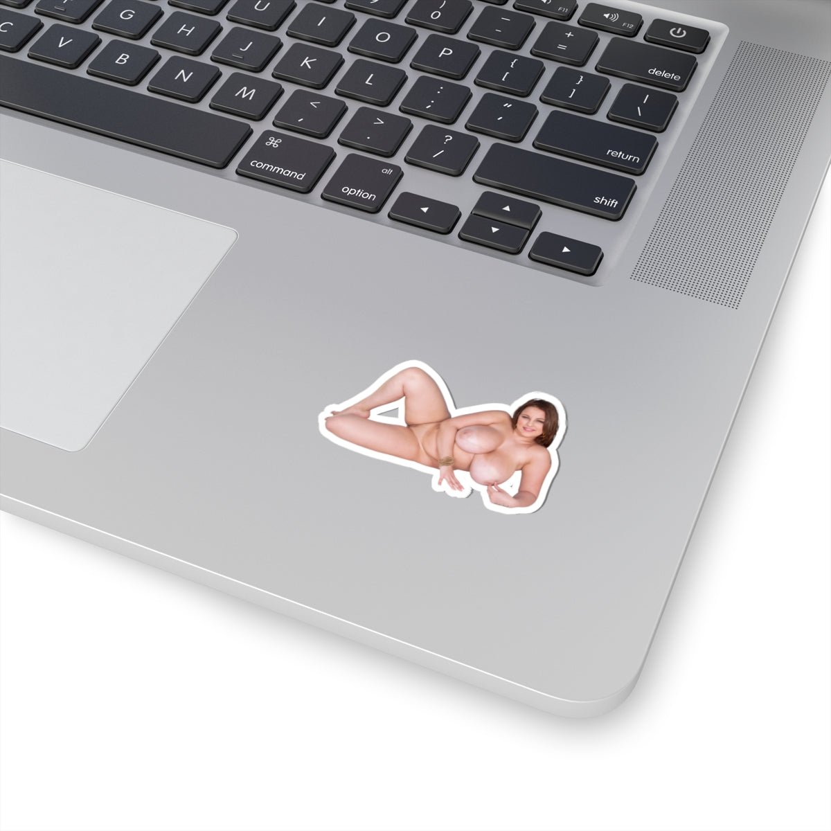 Terri Jane Sticker Big Tits Girl Stickers