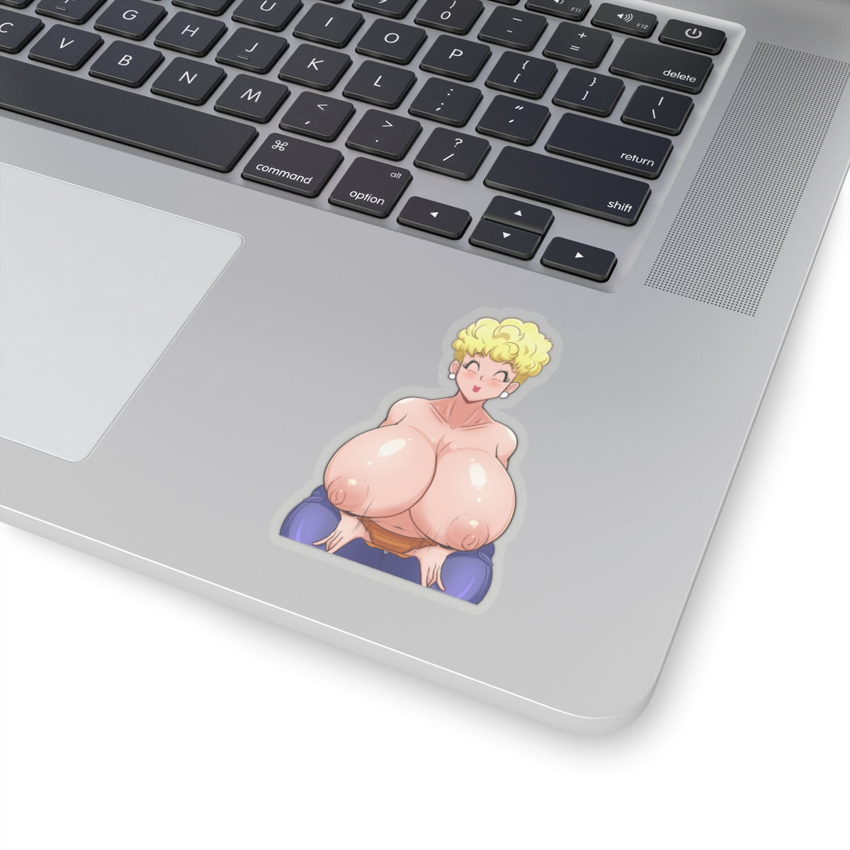 Lewd Stickers,Anime Stickers,Anime Gift,Sexy Women,Hot Anime Girl,Vinyl Stickers,Uncensored Anime Sticker,Funny Stickers,E294